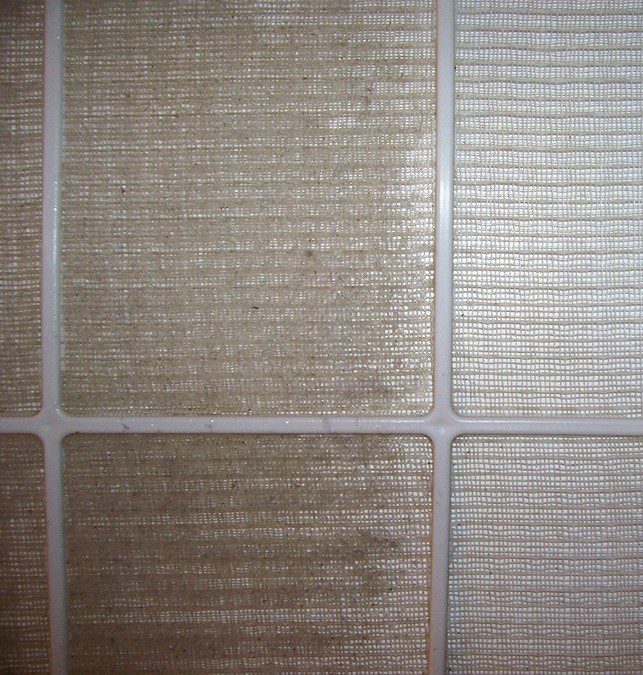 Dirty air filter.